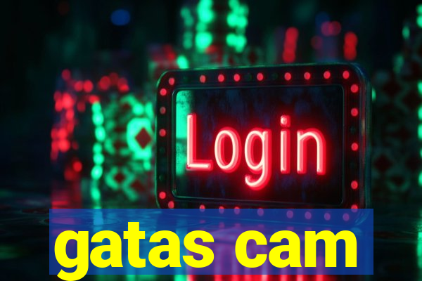 gatas cam